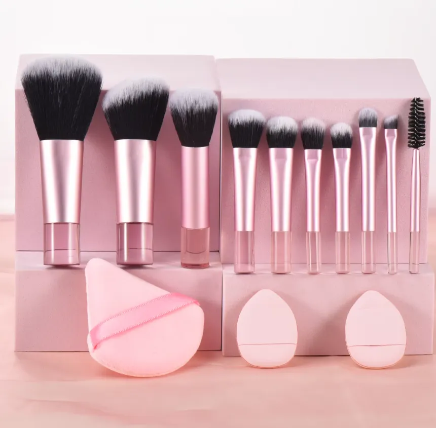 10Pcs Mini Makeup Brush Set with Storage Bag