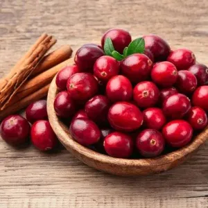 Autumn Cranberry Fragrance Oil