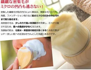Japanese Facial Brush