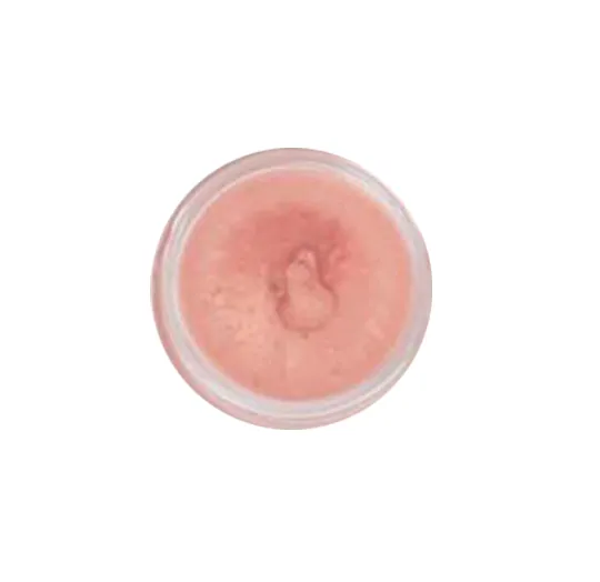 Pure Illumination Lip Gloss Tester Pot