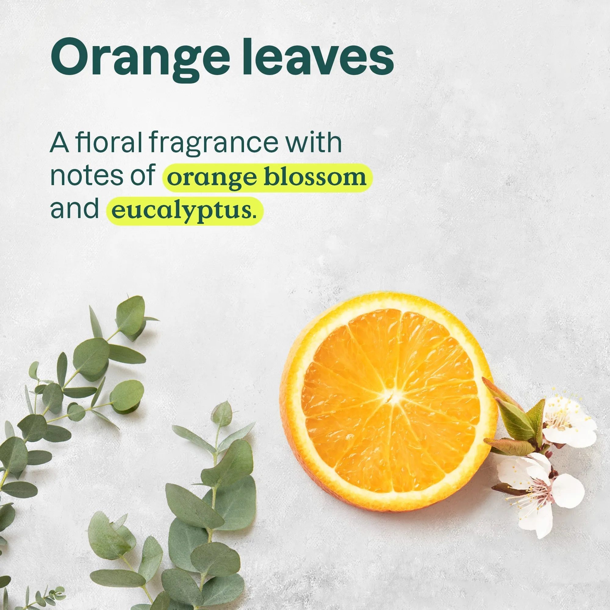 Shower Gel : SUPER LEAVES™