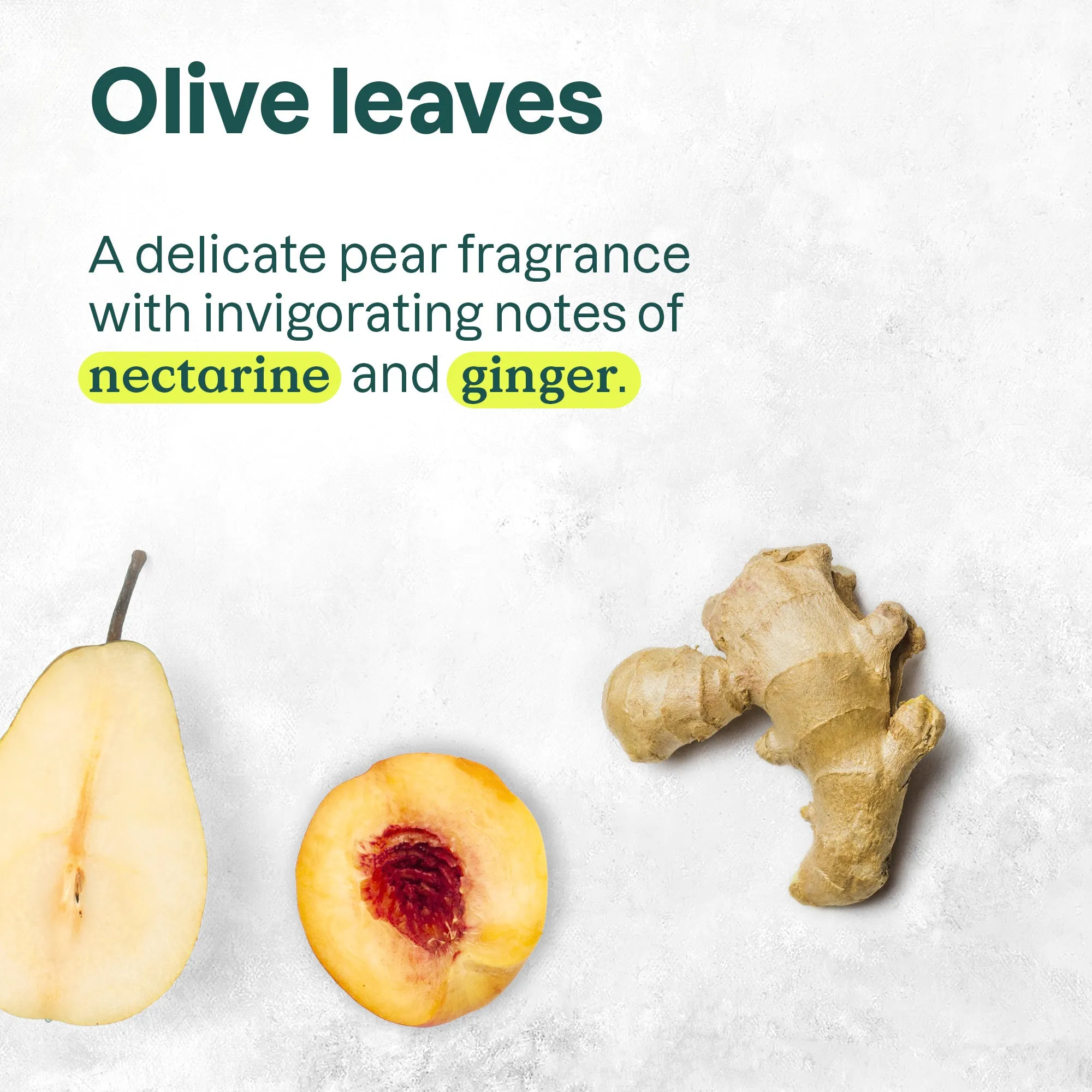 Shower Gel : SUPER LEAVES™