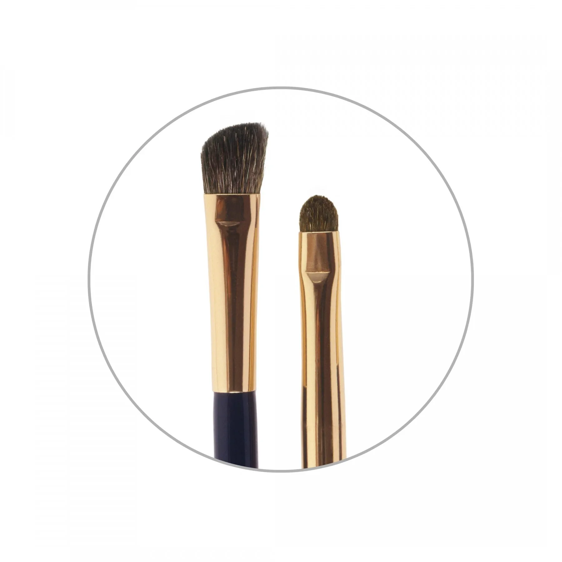 The Essential Brush Collection